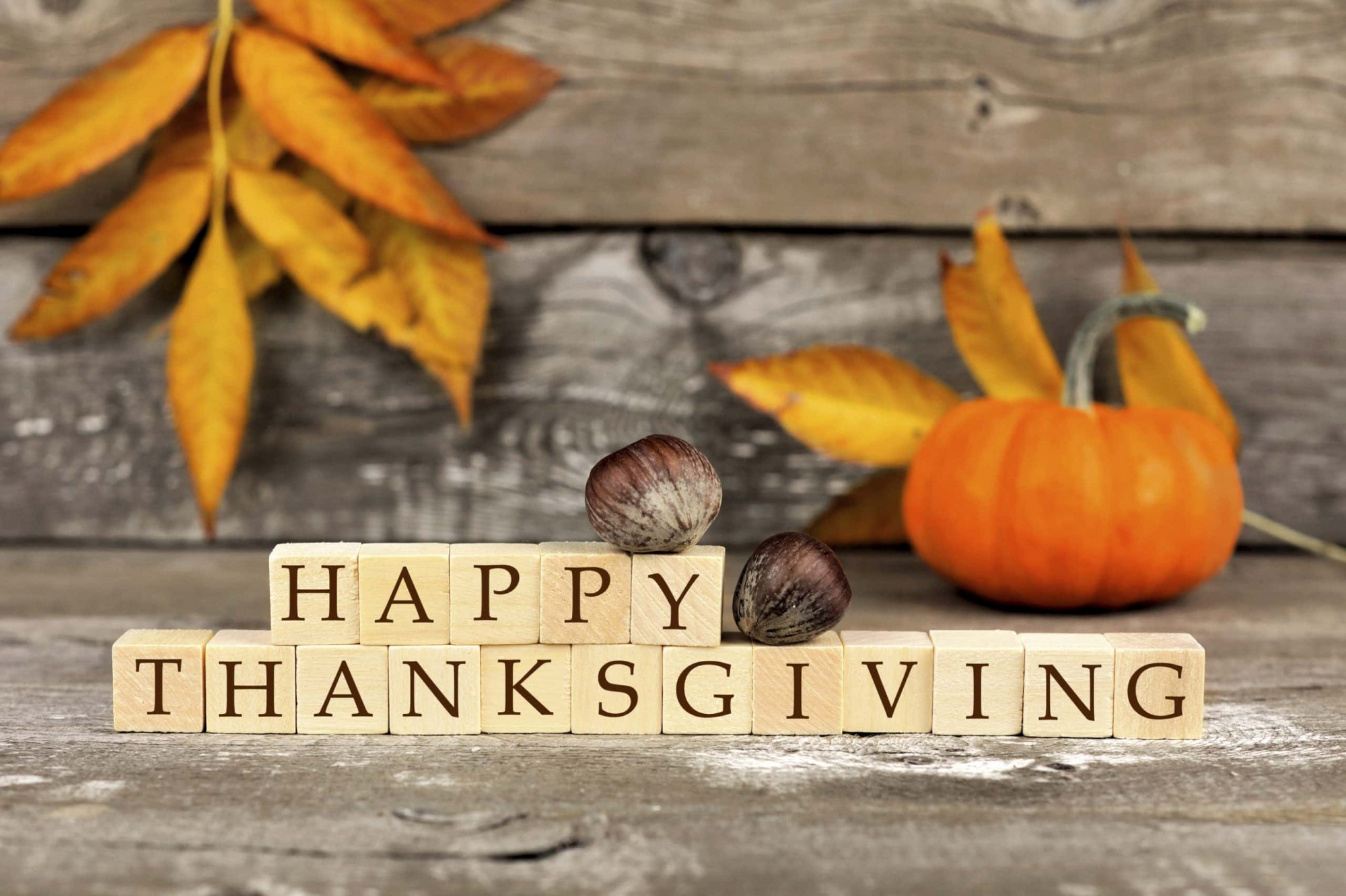 Being Thankful – Especially when it’s hard to be Thankful!